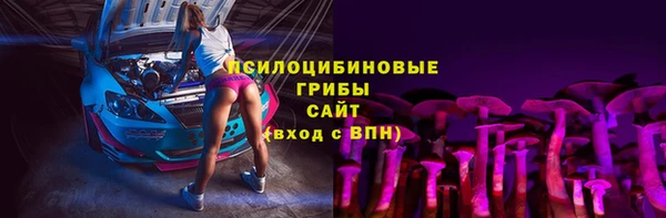 дживик Балахна