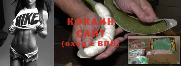 дживик Балахна