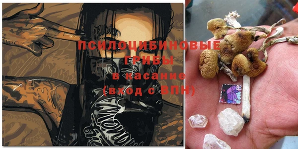 дживик Балахна