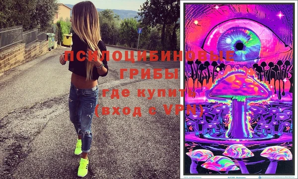 дживик Балахна