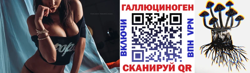 KRAKEN ТОР  Горно-Алтайск  Псилоцибиновые грибы ЛСД 